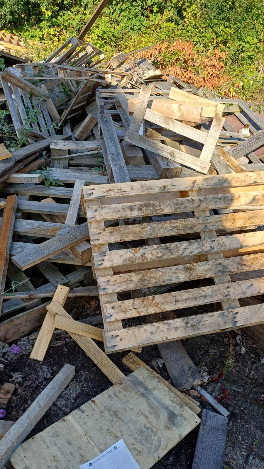 brandhout gratis af te halen, Tuin en Terras, Minder dan 3 m³, Ophalen of Verzenden