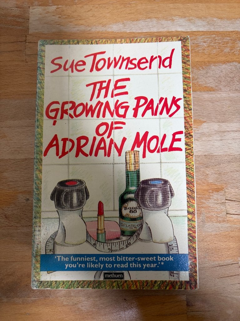 adrian mole engels, Ophalen of Verzenden, Gelezen