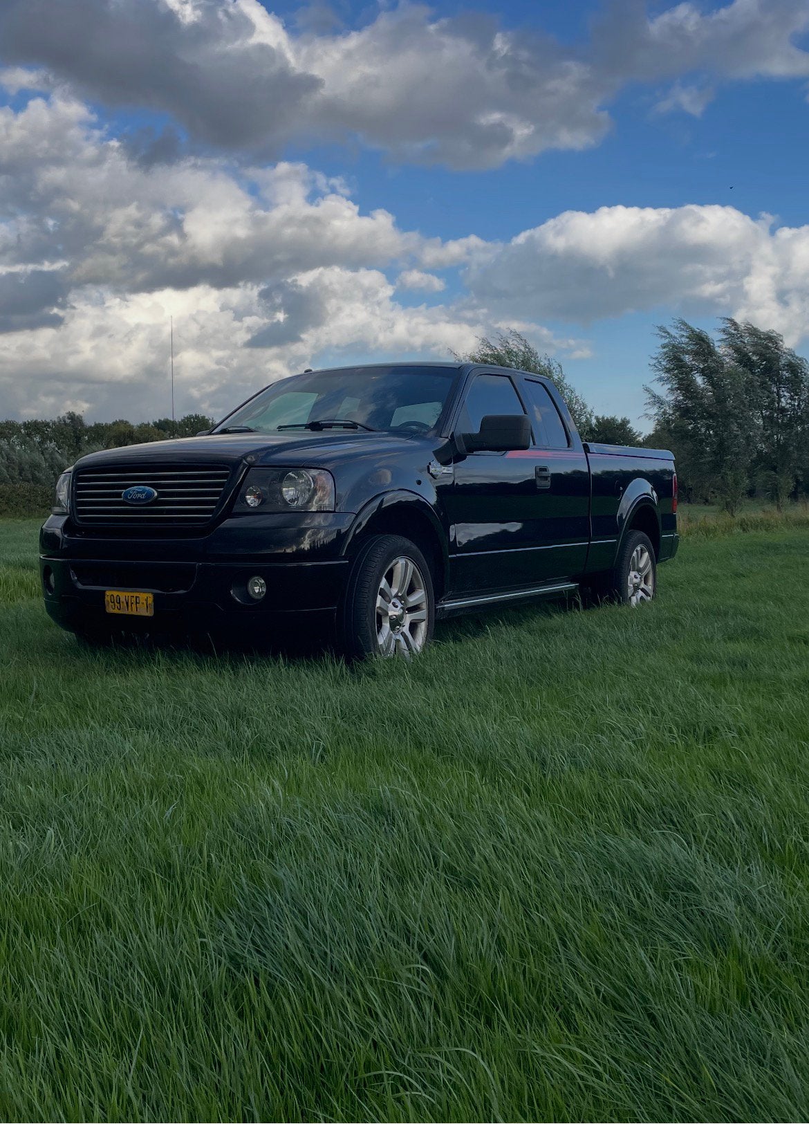 Ford F150 5.4L V8  AWD/4X4, Automaat, Zwart, Vierwielaandrijving, Particulier