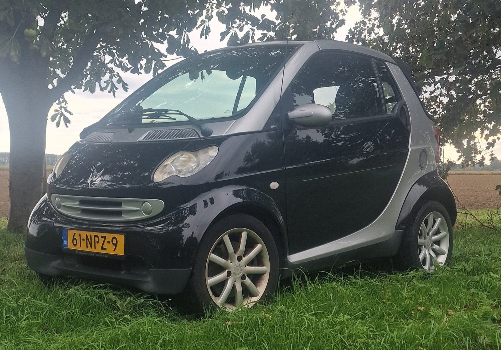 Smart 0.7 Cabrio 45KW 2008 Grijs, Auto's, 21 km/l, Achterwielaandrijving, Cabriolet, 61 pk