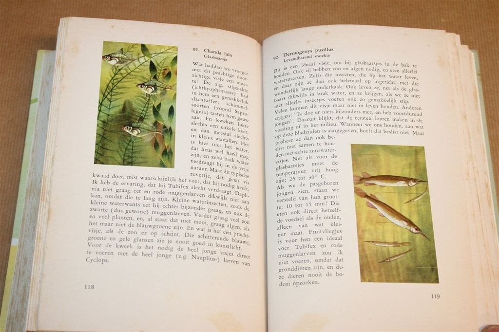 Stille Pracht Tropisch Aquarium —Compleet Plaatjesalbum 1955, Boeken, Prentenboeken en Plaatjesalbums, Ophalen of Verzenden, Gelezen