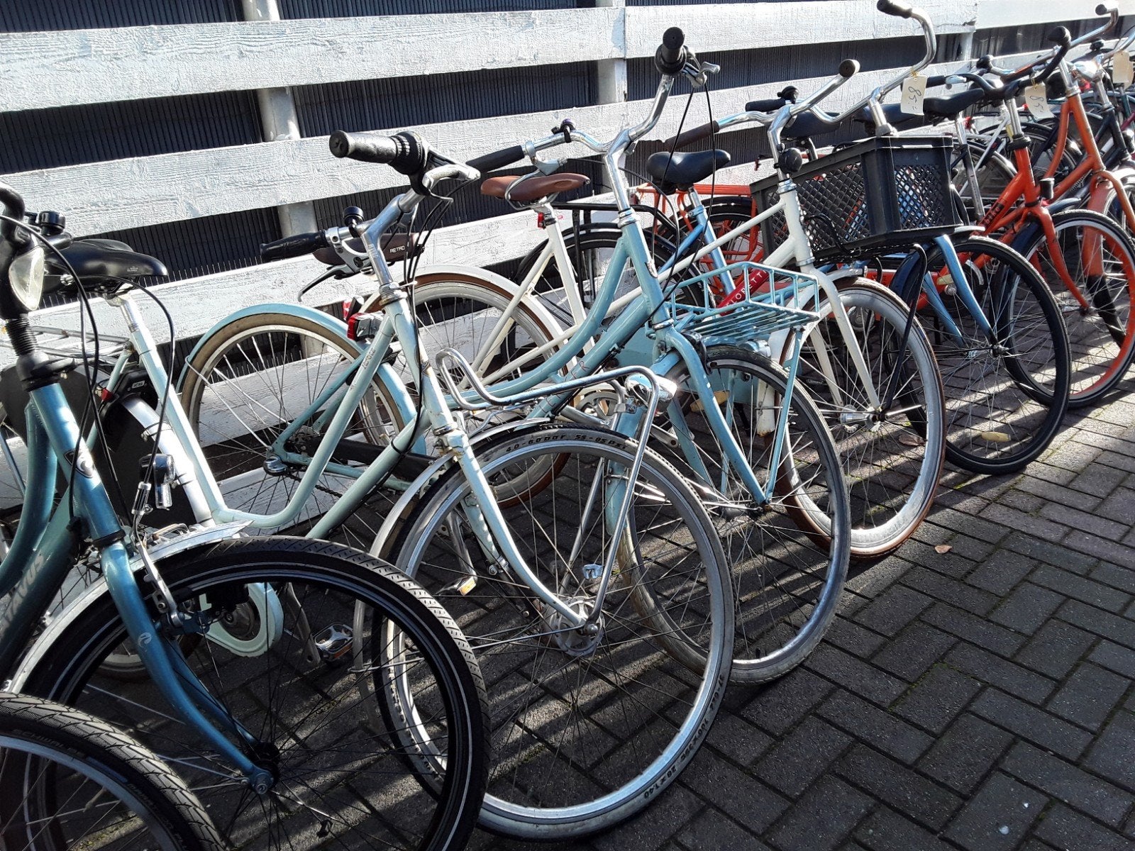 Dames fietsen, Ophalen of Verzenden