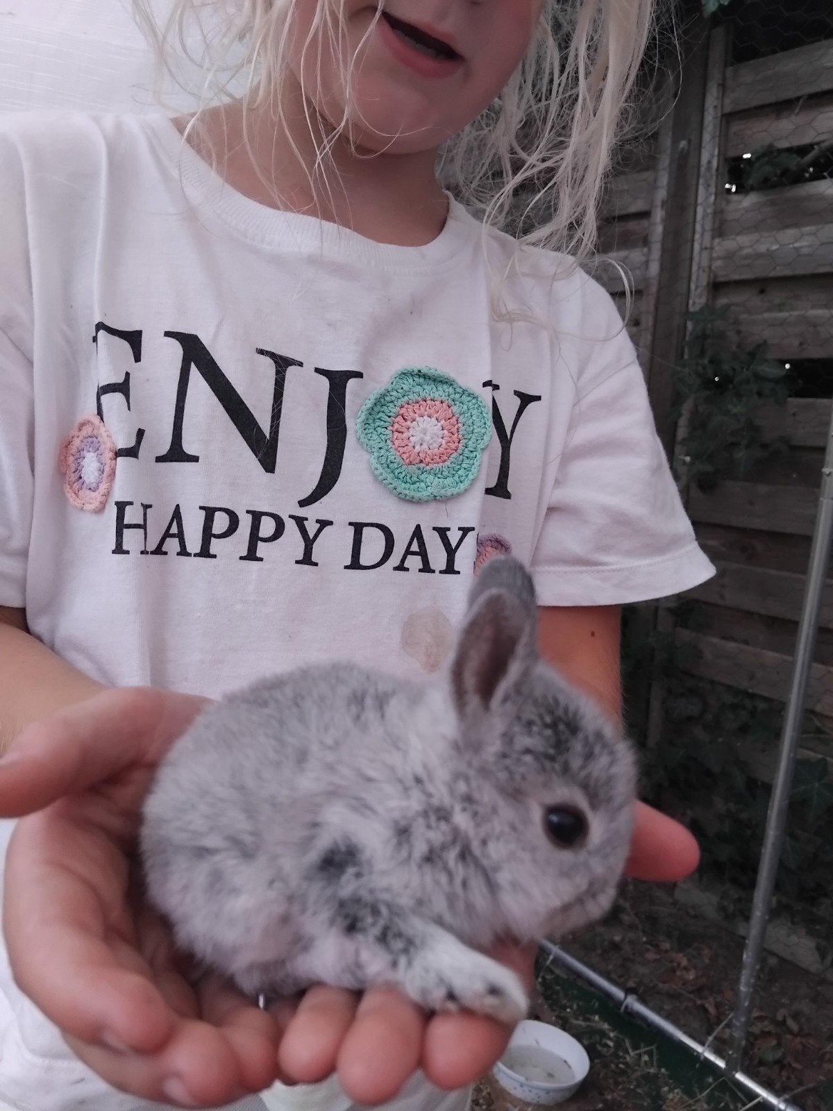 Konijnen, Juli, Meerdere dieren, Overige typen