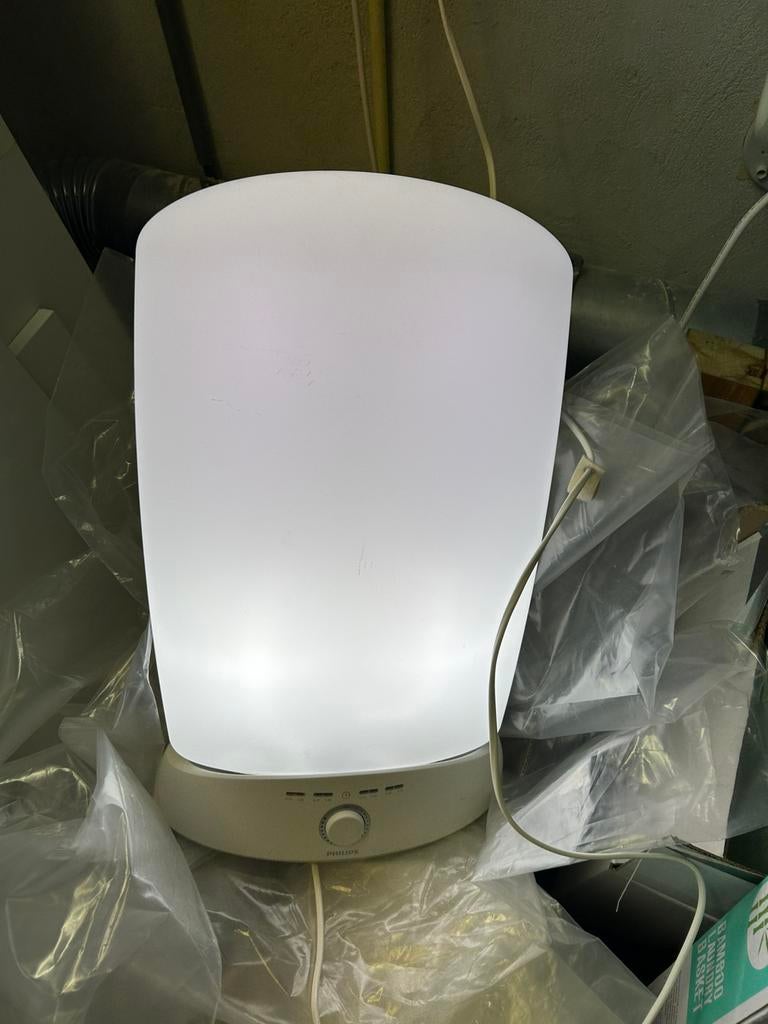 Philips daglicht lamp, Ophalen of Verzenden, Zo goed als nieuw, Overige typen