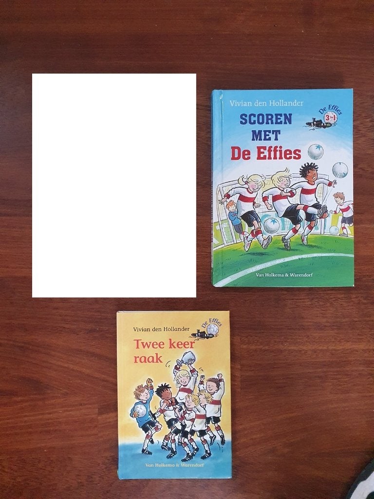 DE  EFFIES  van  Vivian den Hollander  , Boeken, Ophalen of Verzenden, Zo goed als nieuw, Fictie algemeen