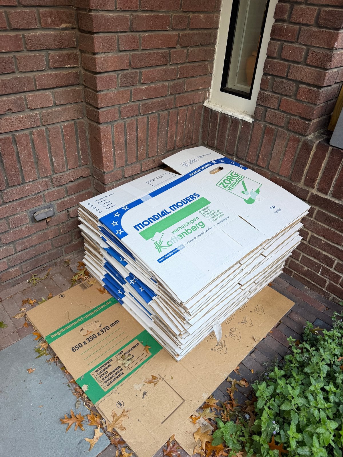 Verhuisdozen - 37 stuks