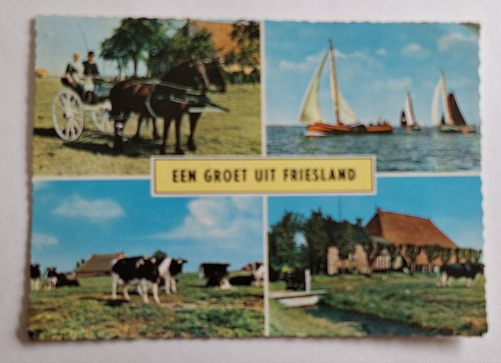 Groot formaat kaart: Een groet uit Friesland, Ophalen of Verzenden