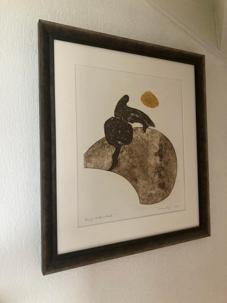 Ets Jan Montijn, Antiek en Kunst, Kunst | Etsen en Gravures, Ophalen of Verzenden