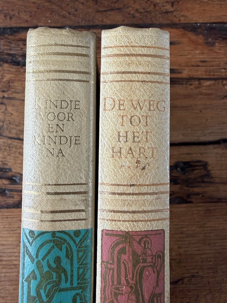 Baedeker voor de huisvrouw, Boeken, Ophalen of Verzenden, Zo goed als nieuw, Zwangerschap en Bevalling