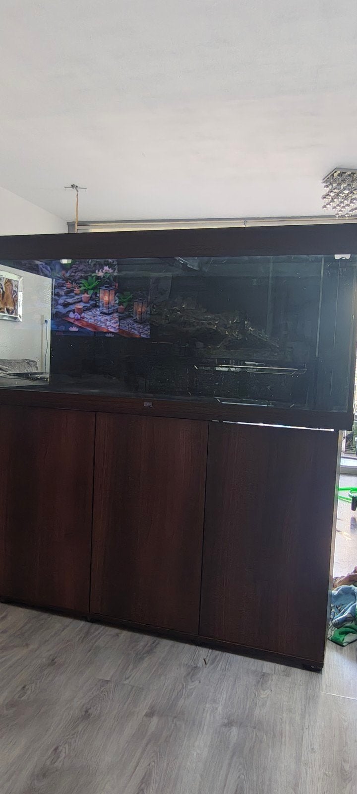 te koop mooie vissen aquarium juwel, Dieren en Toebehoren, Vissen | Aquaria en Toebehoren, Ophalen, Zo goed als nieuw, Leeg aquarium
