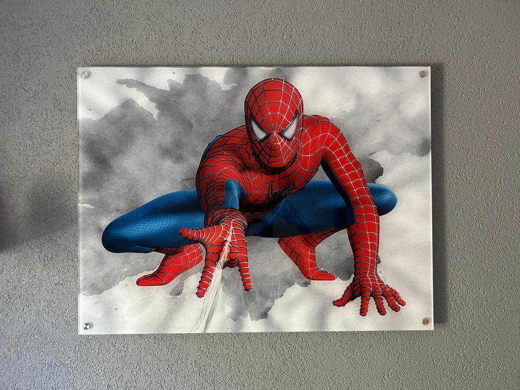spiderman acrylglas plexiglas foto, Ophalen, 50 tot 75 cm, Zo goed als nieuw, Schilderij