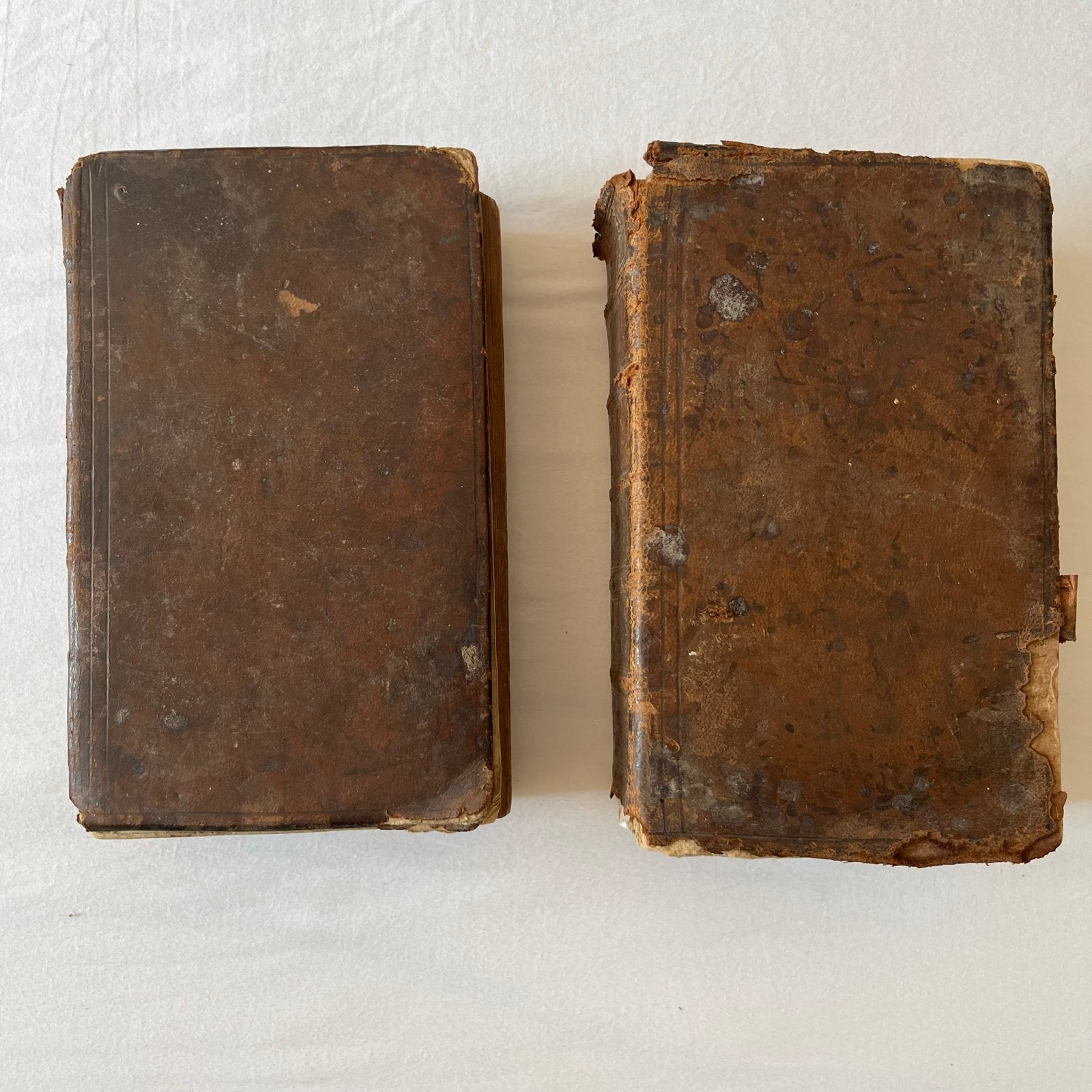 Nieuw Nederduitsch en Fransch Woorden-Boek, 19e eeuw, Antiek en Kunst, Antiek | Boeken en Bijbels, Ophalen of Verzenden