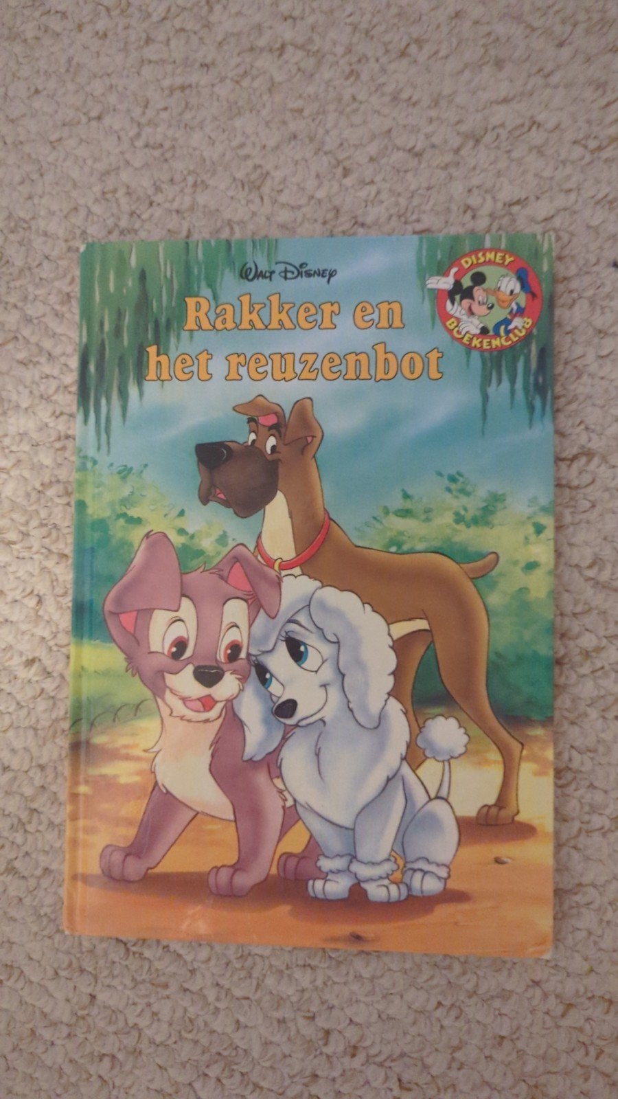 Walt Disney Rakker en het reuzenbot - Kinderboek, Ophalen of Verzenden
