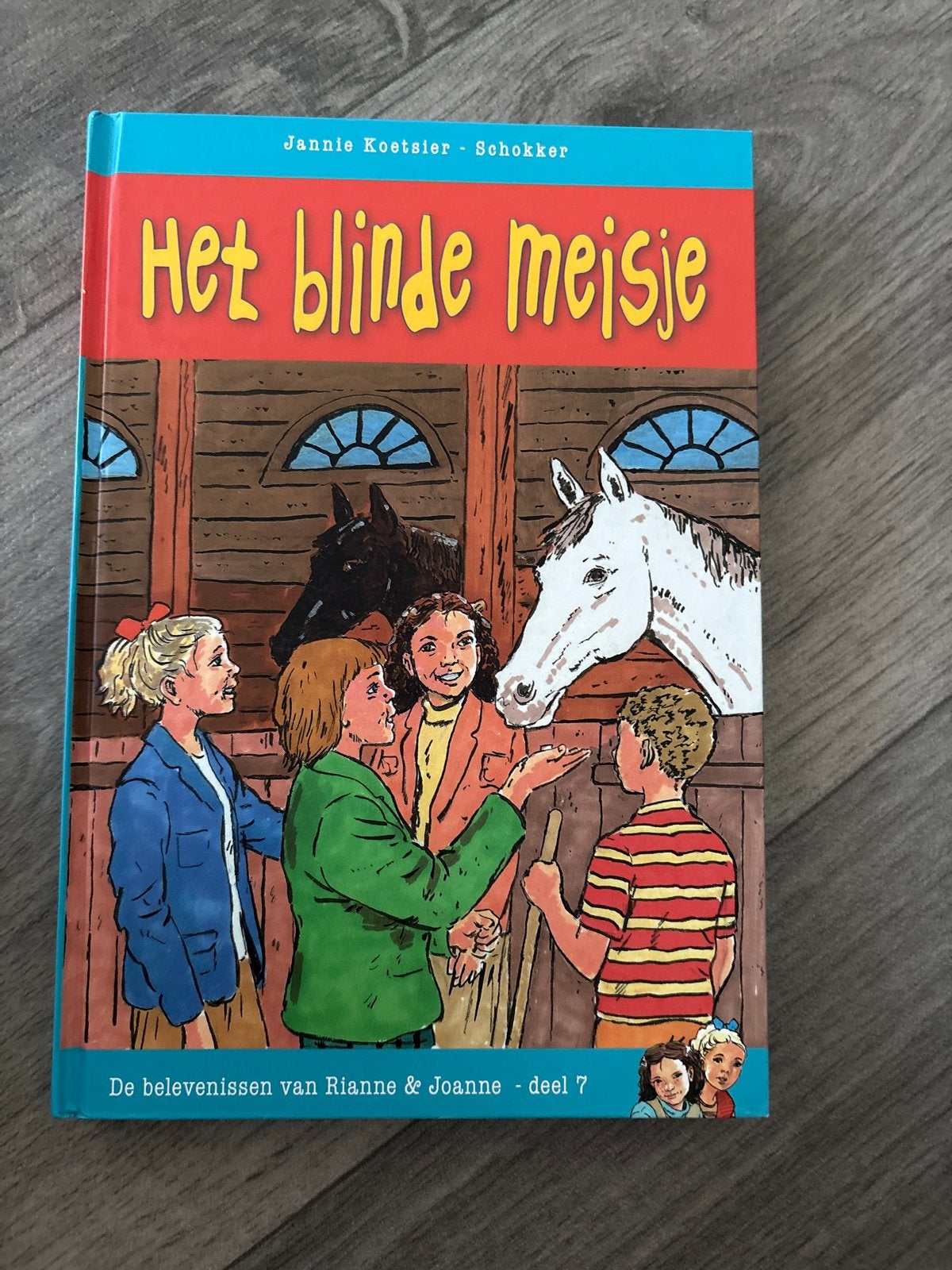 Het blinde meisje - De belevenissen van Rianne & Joanne (7), Boeken, Ophalen of Verzenden, Zo goed als nieuw, Fictie
