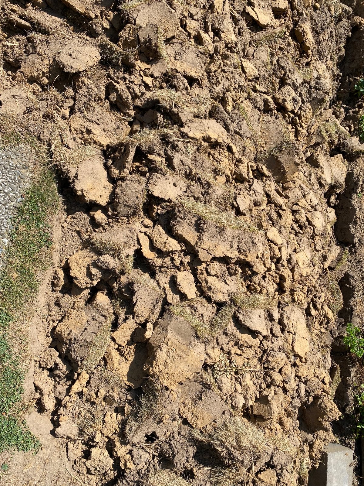 Schone grond, Tuin en Terras, Zand, Ophalen, Gebruikt, Ophoogzand