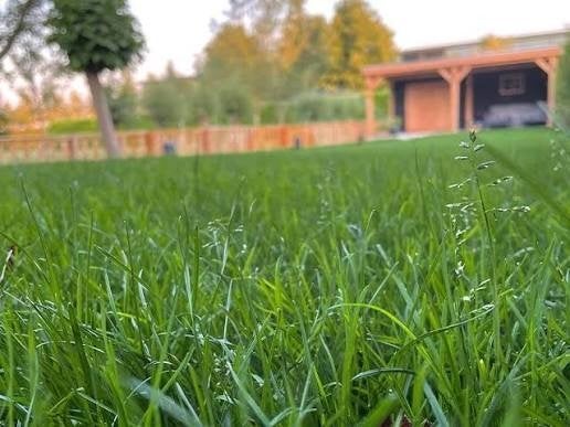 Tuinman gezocht? stuur een berichtje, Ophalen