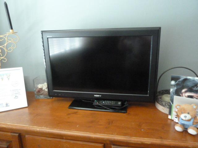 T.V. Sony Bravo met afstandbediening, Ophalen, Gebruikt, 50 Hz, Sony