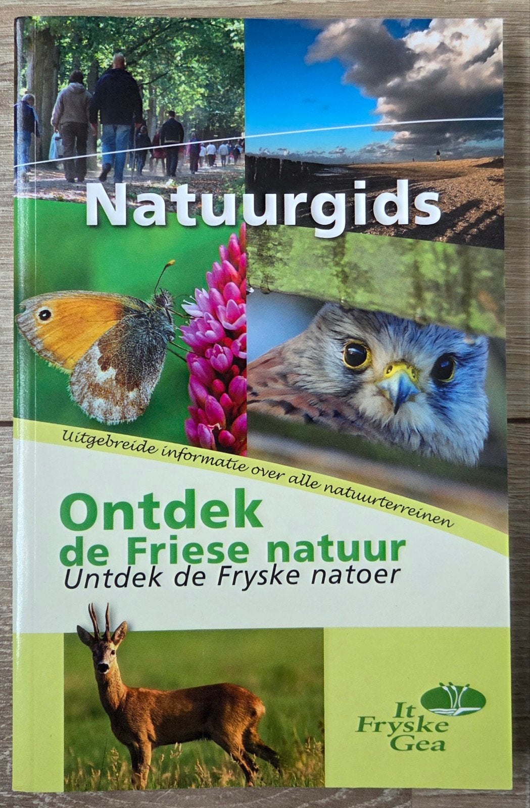 It Fryske Gea - Natuurgids: Ontdek de Friese natuur, Ophalen of Verzenden, Zo goed als nieuw, It Fryske Gea, Overige onderwerpen