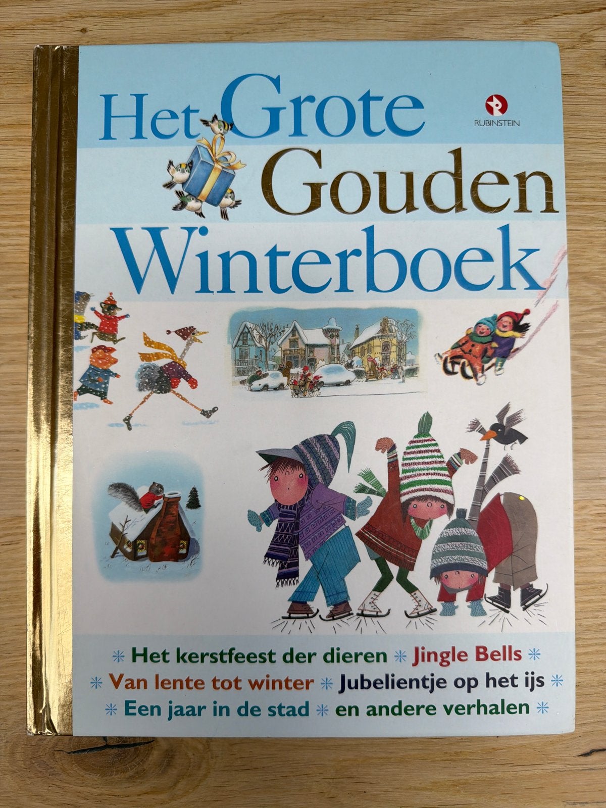 Het Grote Gouden Winterboek - Rubinstein, Ophalen of Verzenden, Zo goed als nieuw