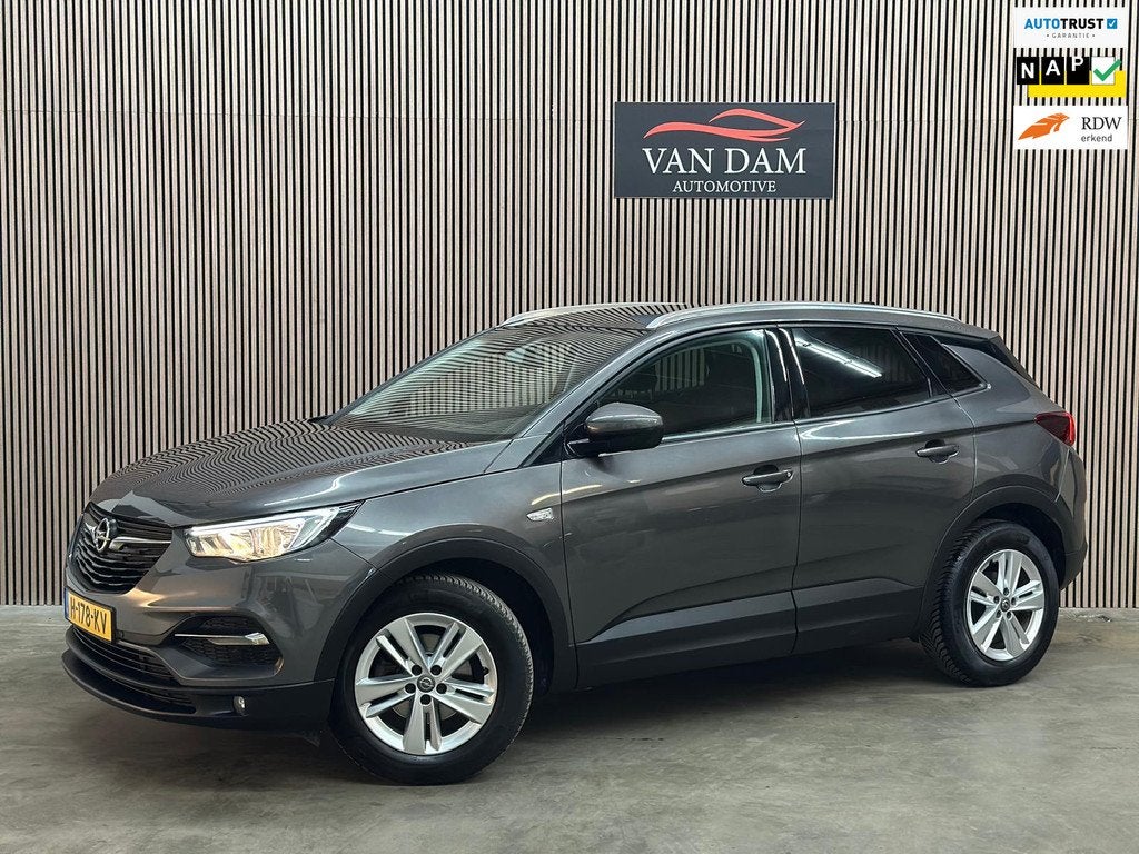 Opel Grandland X 1.2 Turbo Business Executive 2020 NAP LED C, Auto's, Opel, Stof, Gebruikt, 1199 cc, Bedrijf
