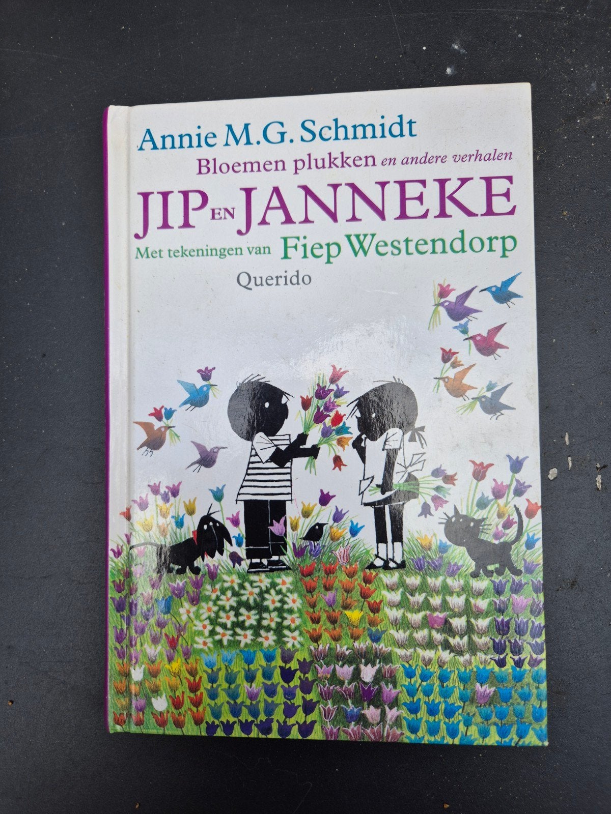 Jip en Janneke: Bloemen plukken en andere verhalen, Ophalen of Verzenden, Gelezen, Annie M.G. Schmidt, Fictie algemeen