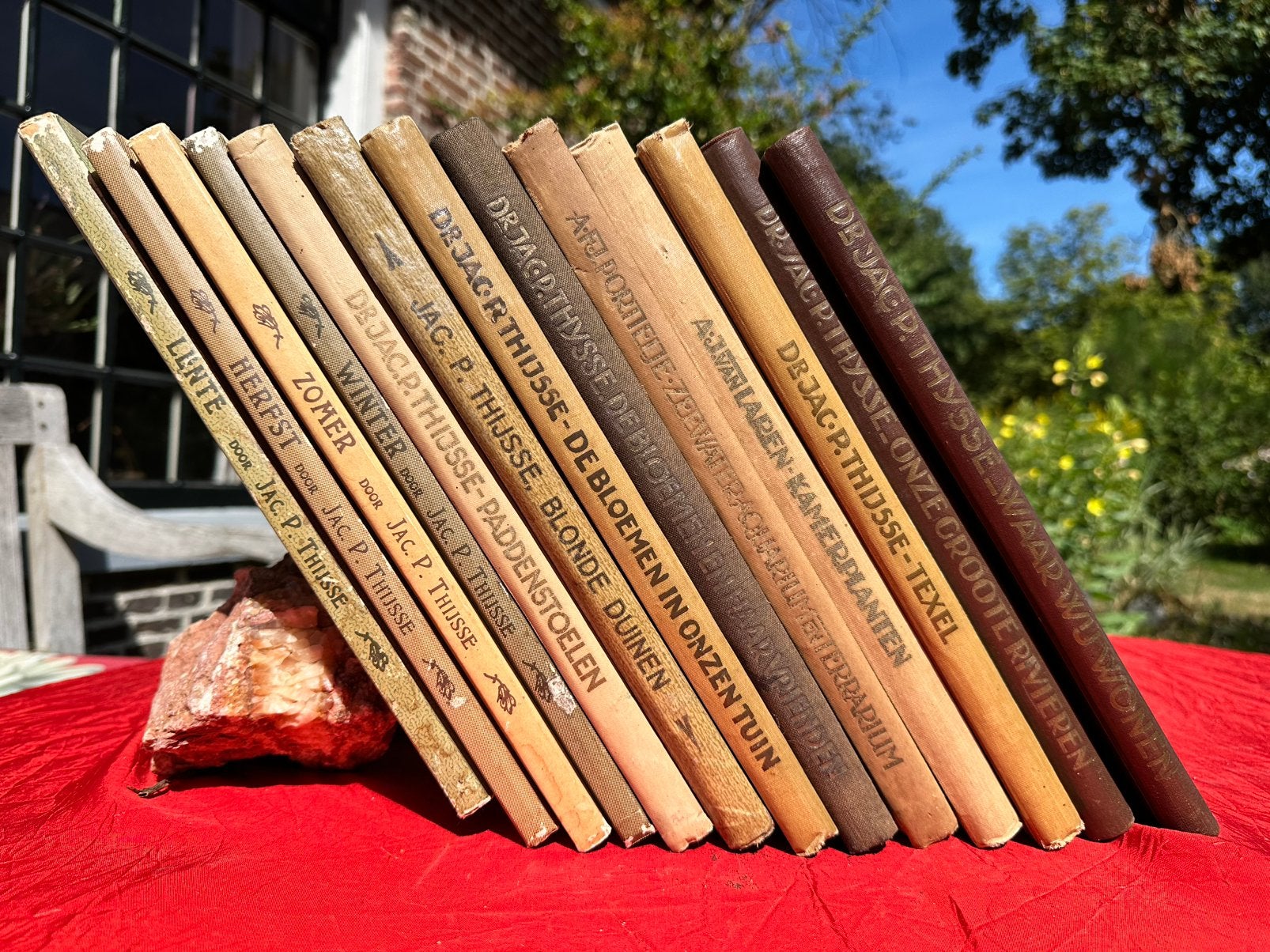 13 Verkade-albums Jac. P. Thijsse (In één koop), Boeken, Ophalen of Verzenden, Gelezen, Plaatjesalbum