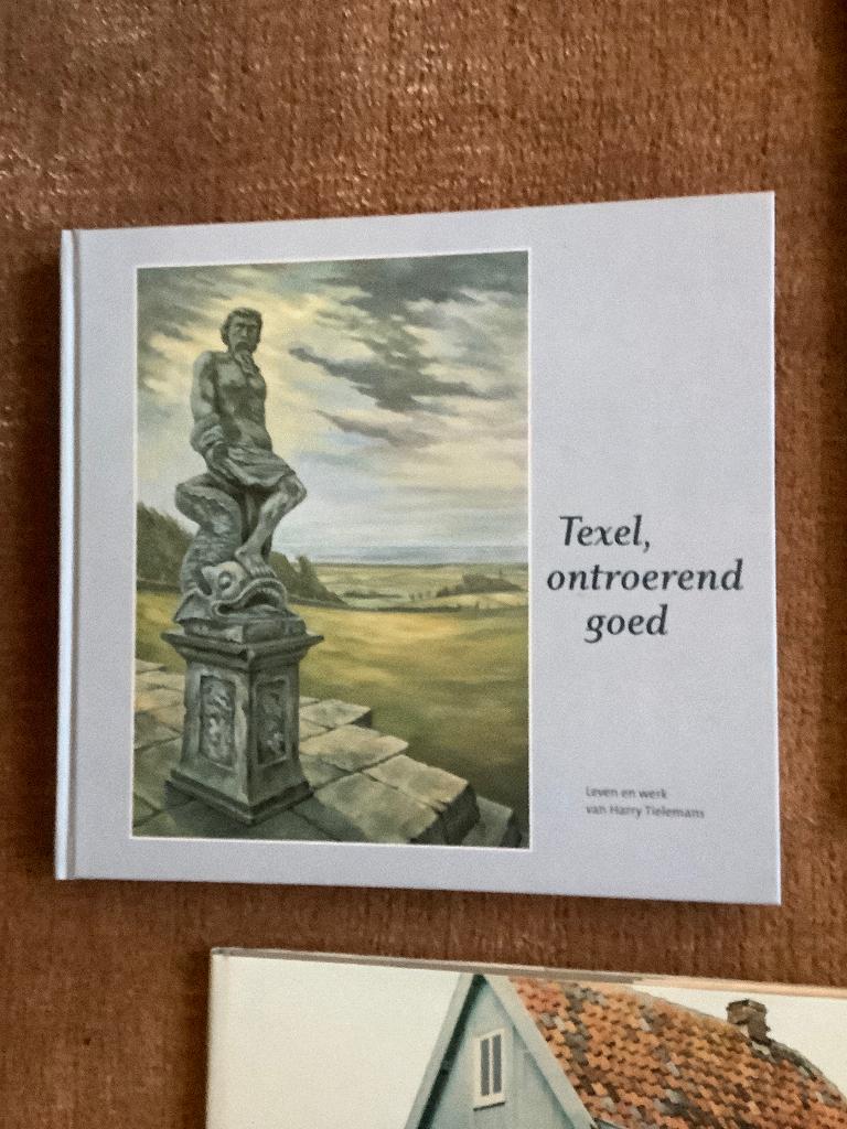 Texel, 4 boeken over Texelsche kunstenaars souwtje de Wijn, Ophalen of Verzenden, Gelezen