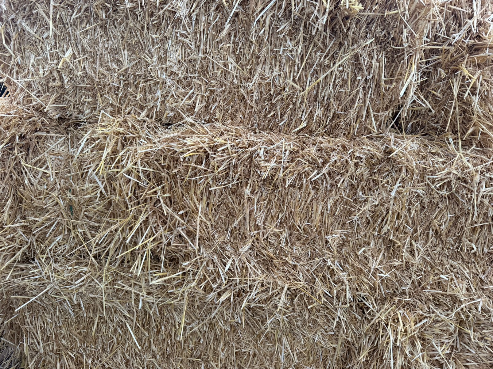 Stofarme kleine balen gerstestro, Dieren en Toebehoren, Ophalen, Vee