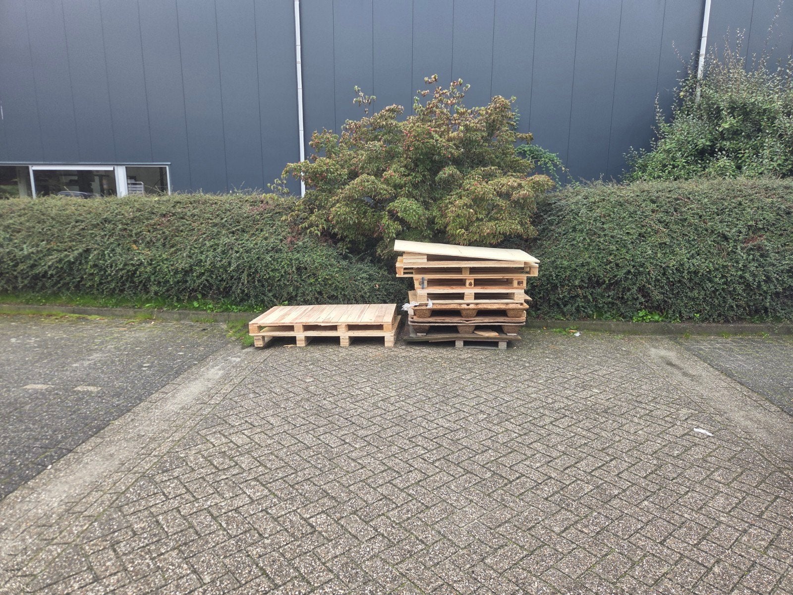 gratis pallets
