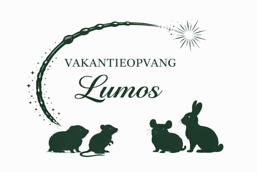 Vakantieopvang voor alle knaagdieren, konijnen, vogels, Mei, Meerdere dieren, Overige typen, Tam