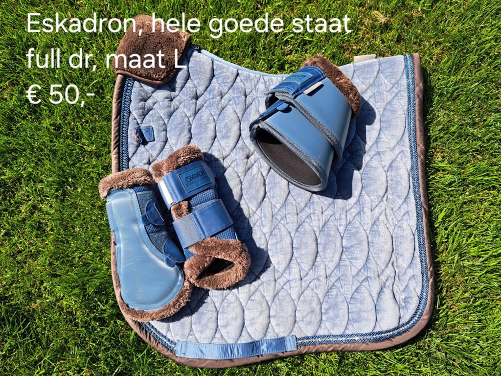 Eskadron platinum set, Ophalen of Verzenden