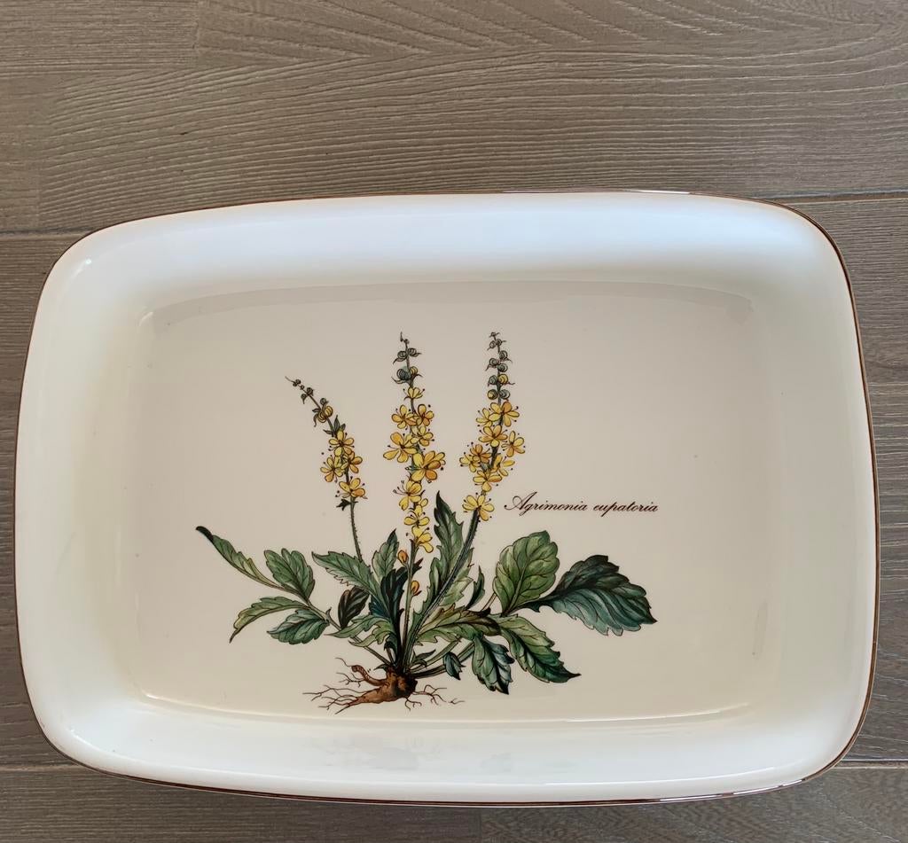 Villeroy & Boch Botanica ovenschaal Vilbofour 24x17, Gebruikt, Ophalen of Verzenden, Schaal of Schalen, Overige stijlen