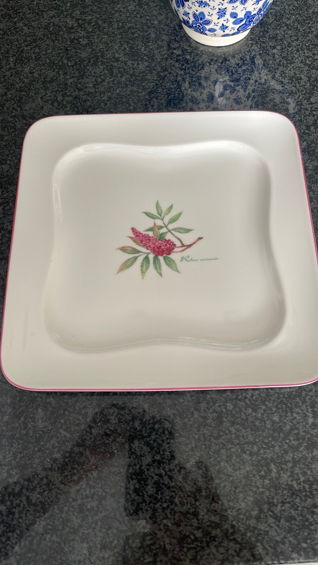 2 stuks vierkante borden Villeroy & Boch Vivo Rhus Corsiaria, Ophalen of Verzenden, Zo goed als nieuw, Bord(en), Overige stijlen