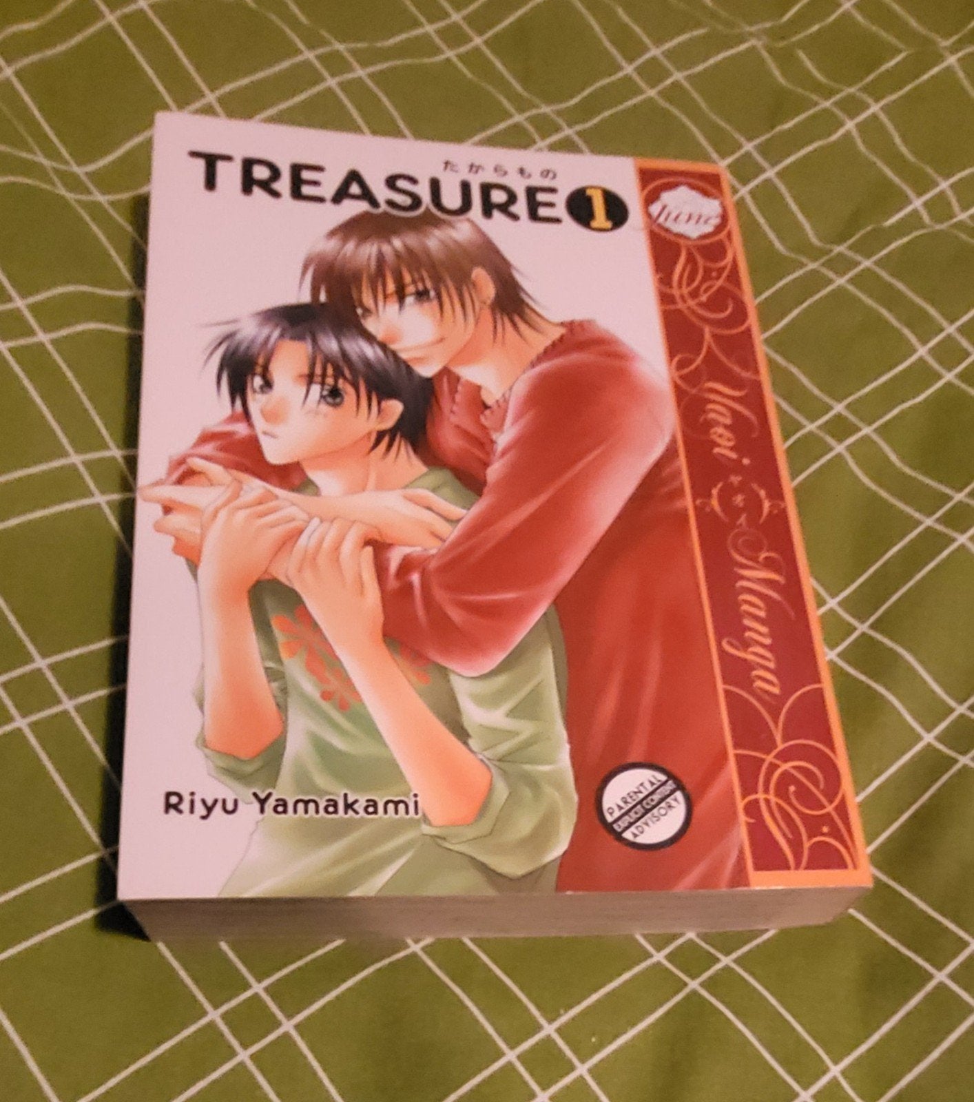Yaoi manga Treasure, Boeken, Ophalen of Verzenden, Riyu yamakami, Japan (Manga), Gelezen