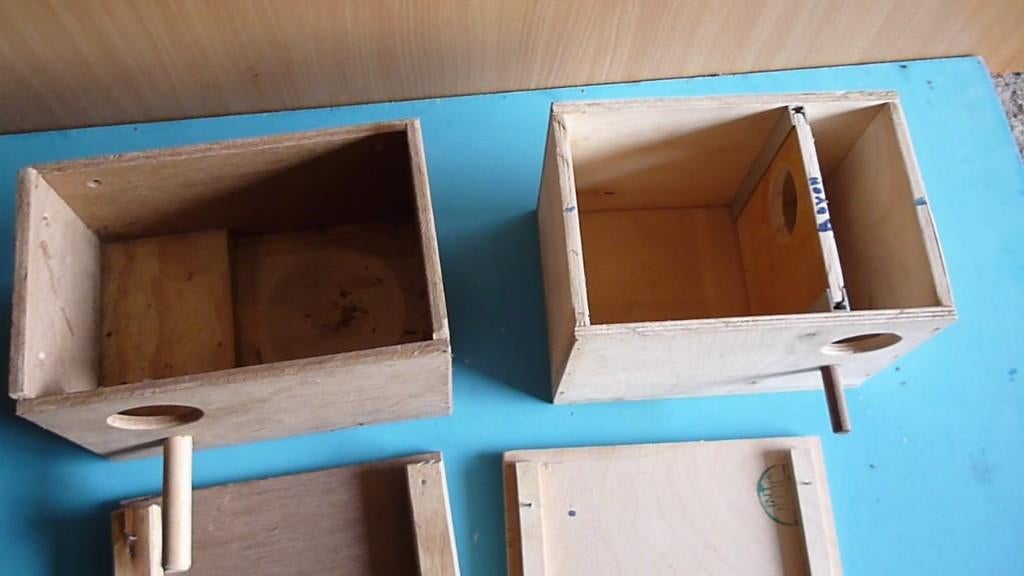 Broed blokken, Ophalen of Verzenden, Nieuw, Hout, Broedkooi of Kweekkooi