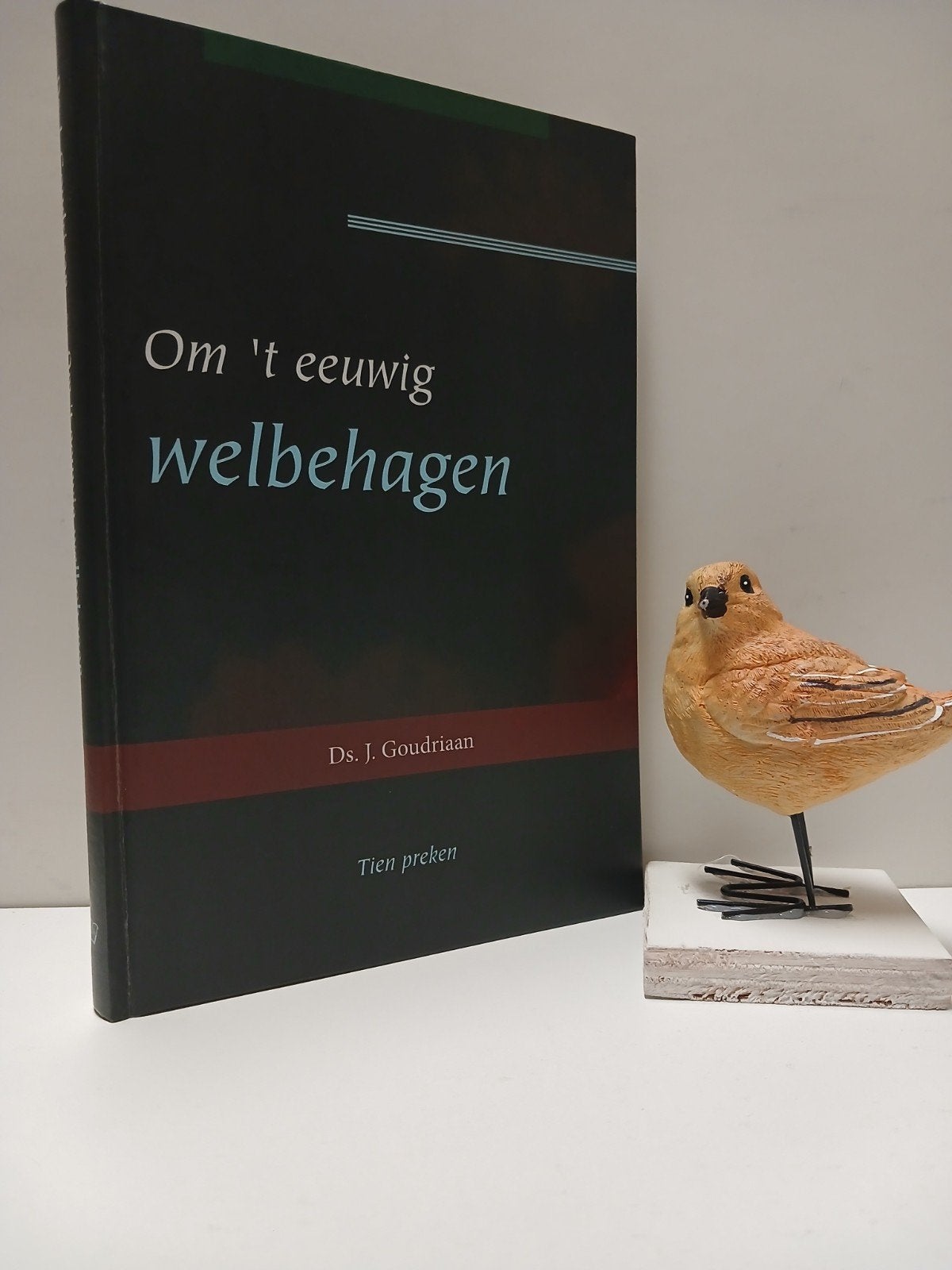 Goudriaan, Ds. J.; Om ‘t eeuwig welbehagen, Ophalen of Verzenden, Gelezen, Christendom | Protestants