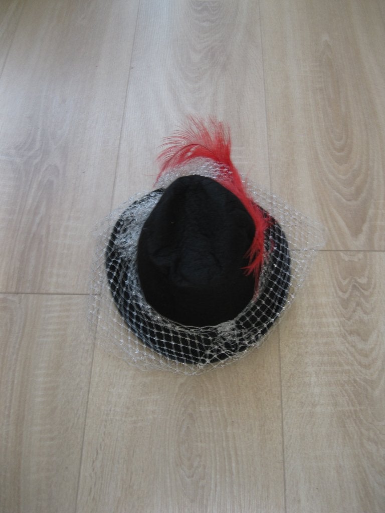 Karnavals hoed zgan, Ophalen of Verzenden, Nieuw, One size fits all, Hoed