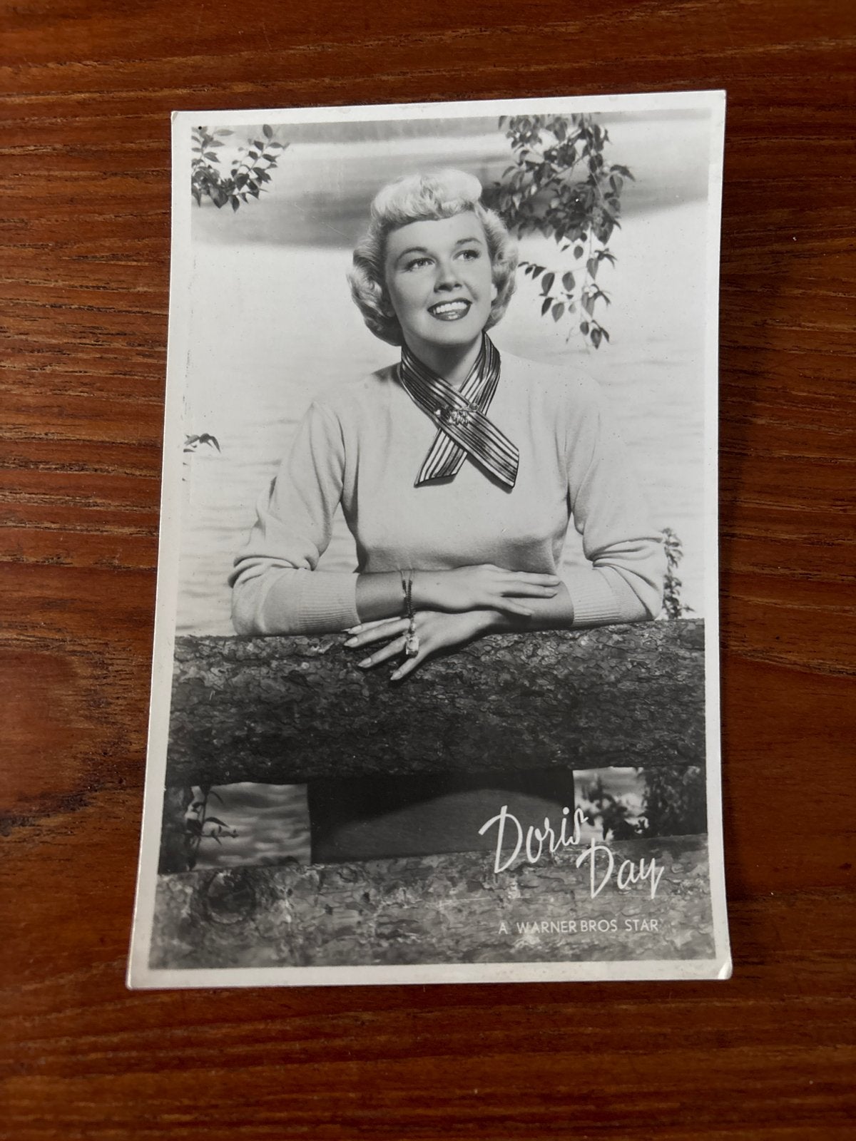 Vintage foto Doris Day - Warner Bros Star, Verzamelen, Gebruikt, Verzenden, Foto, Voor 1940