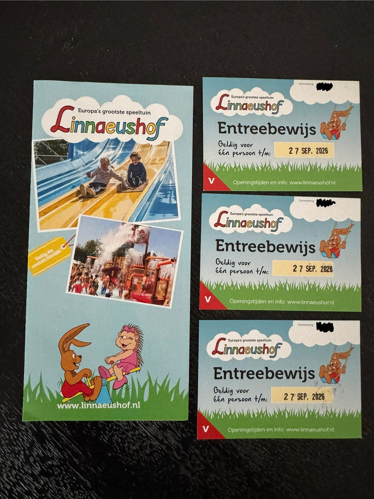 Linnaeushof 3 kaartjes, Tickets en Kaartjes, Drie personen of meer, Ticket of Toegangskaart