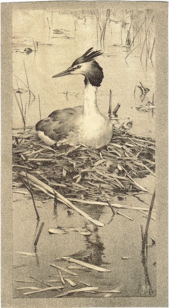 Jan Voerman Jr. litho "Vogel Op Nest", Ophalen, Minder dan 50 cm, Oorspronkelijke maker, Overige typen