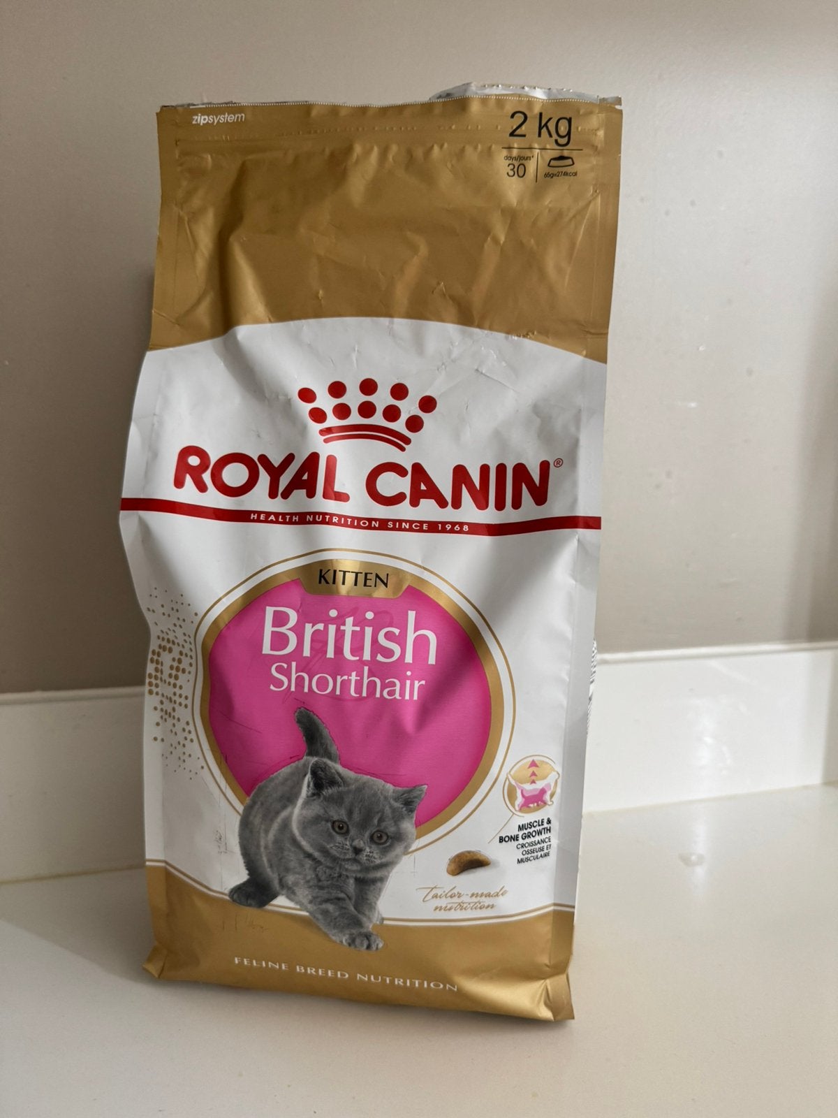 Royal Canin Kitten Britse korthaar brokken British shorthair, Verzenden, Kat