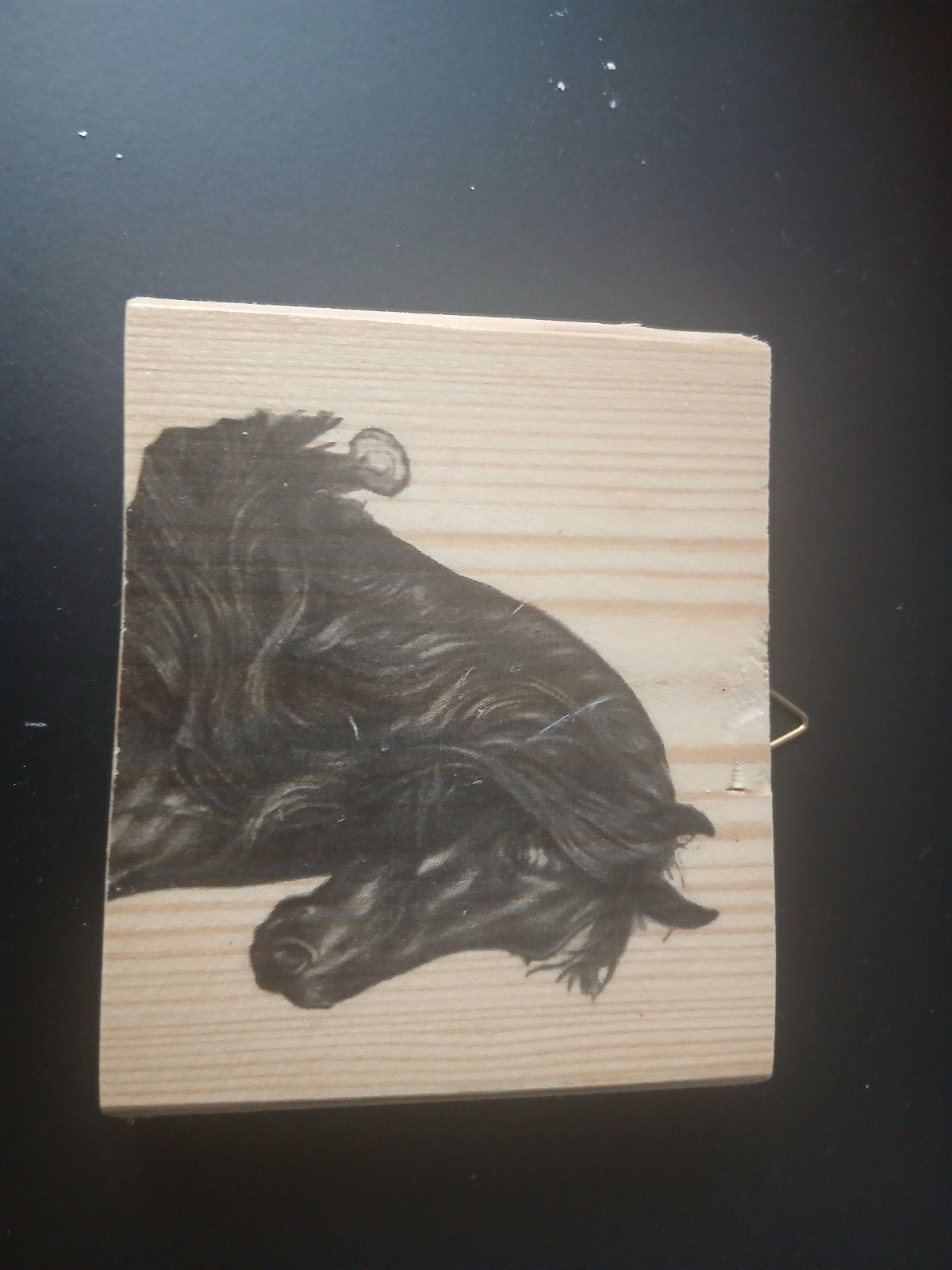 Houten wanddecoratie met paardenhoofd, Ophalen