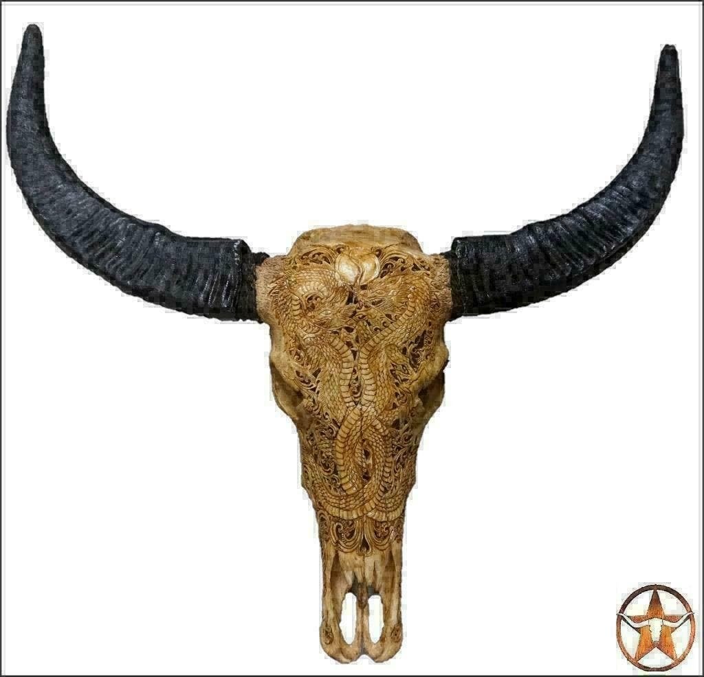 Buffel schedels echte Buffelschedels gegraveerd