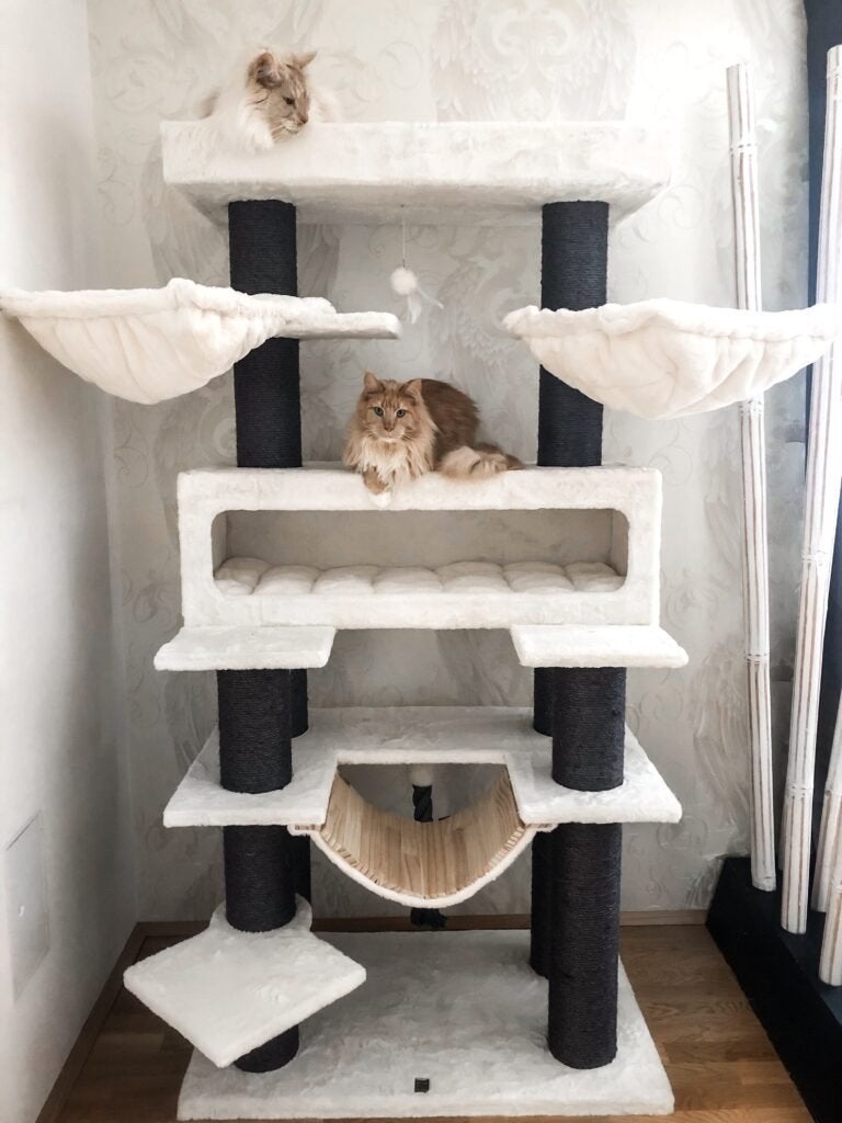 krabpaal Katten woning xl, Dieren en Toebehoren, Ophalen of Verzenden, Nieuw, Krabpaal