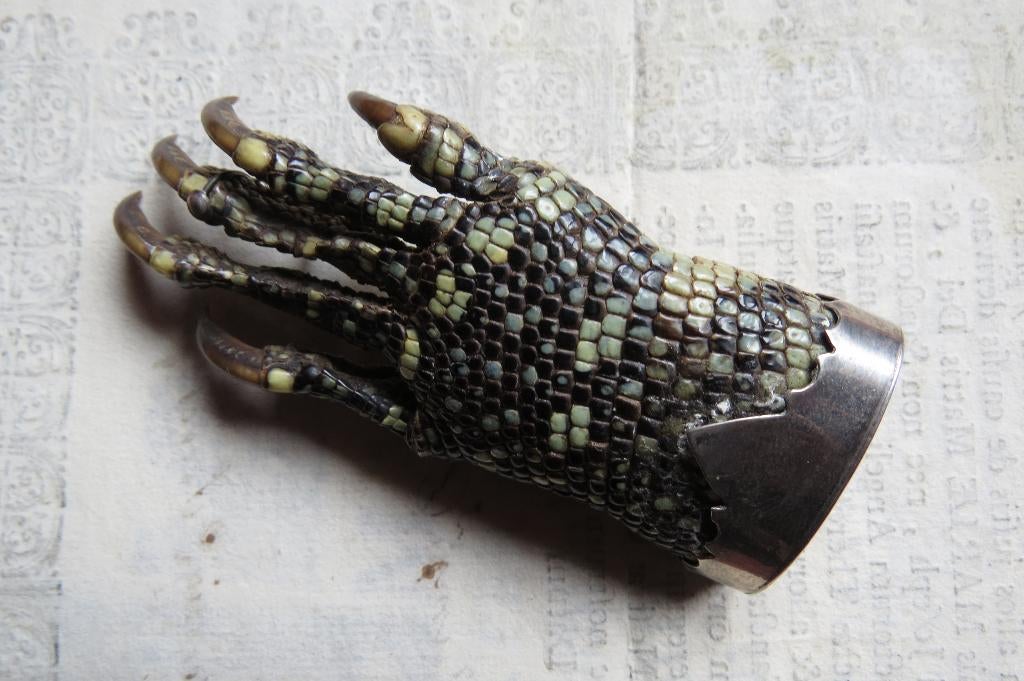 Antieke Alligator of Varaan broche, jacht trofee, Antiek en Kunst, Ophalen of Verzenden
