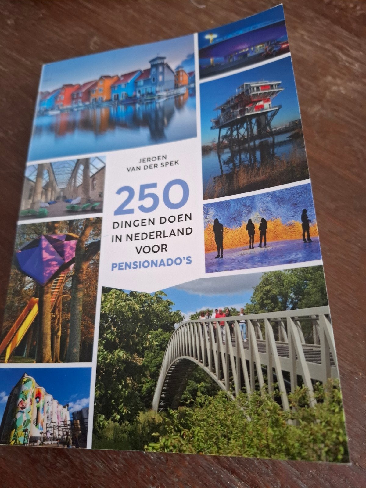 250 dingen doen in Nederland voor pensionado's, Boeken, Overige merken, Fiets- of Wandelgids, Ophalen of Verzenden, Zo goed als nieuw
