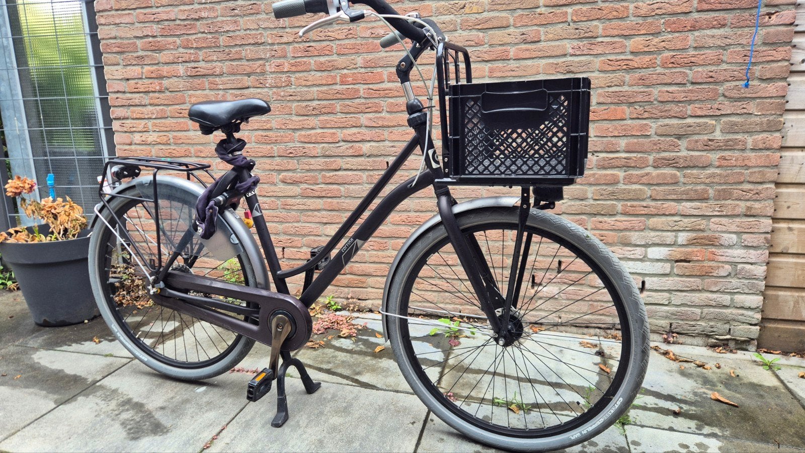 Cortina Damesfiets met Mand 56cm 7versn., (Extra) lage instap, Trommelrem, Ophalen, Overige merken