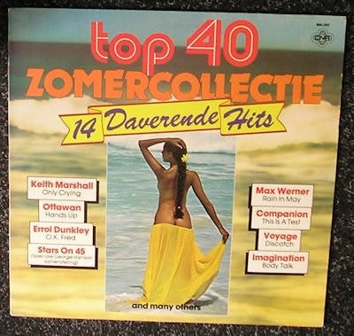 Top 40 Zomercollectie – 14 Daverende Hits 1981 LP2202, LP, Gebruikt, Pop, Ophalen of Verzenden