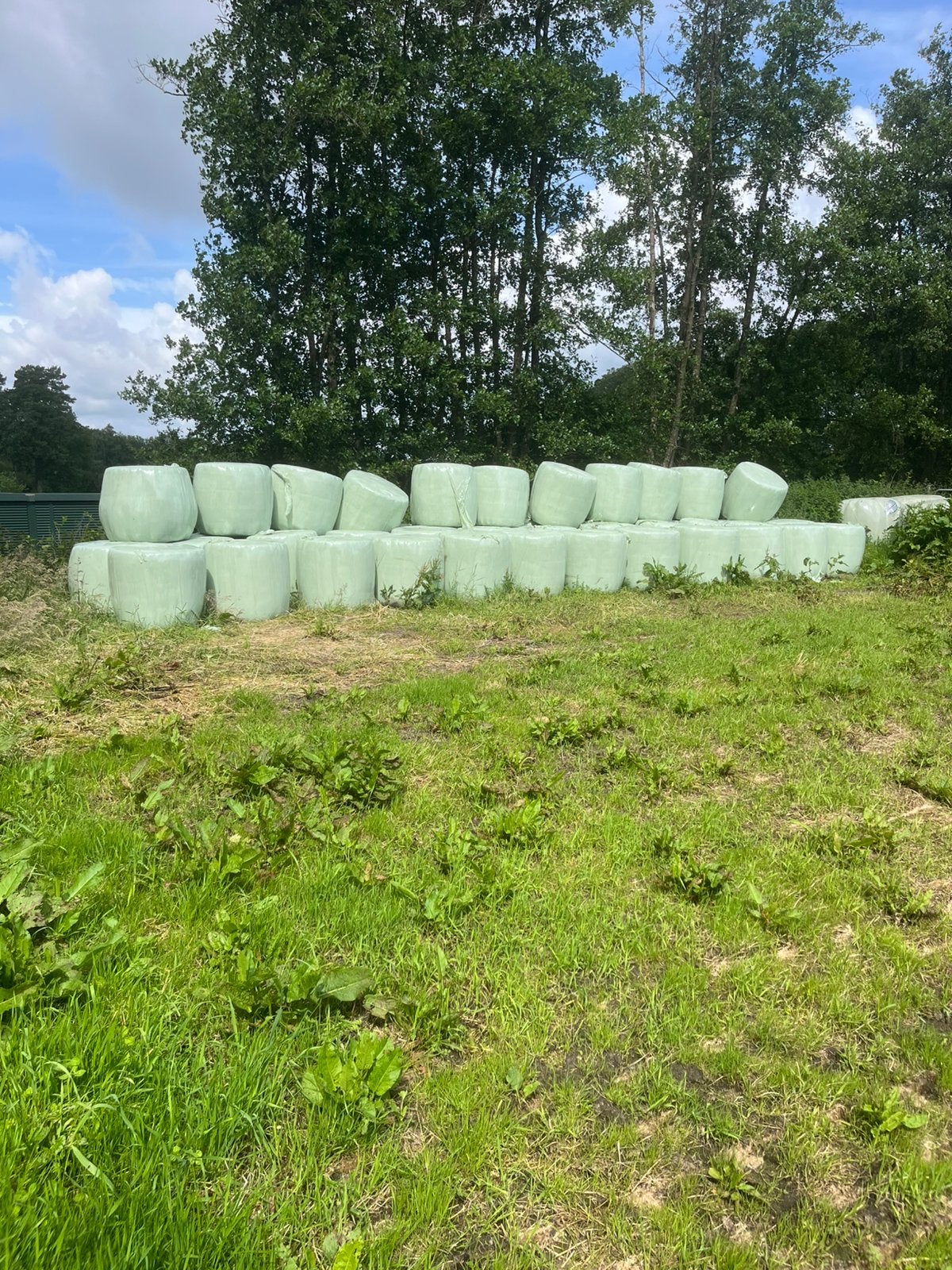 Hooibalen 30,00 euro, Ophalen, Vee