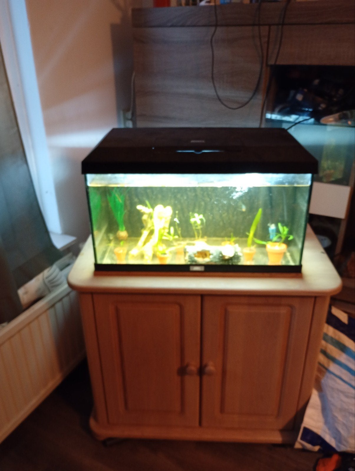aqarium 80 liter, Dieren en Toebehoren, Vissen | Aquaria en Toebehoren, Ophalen
